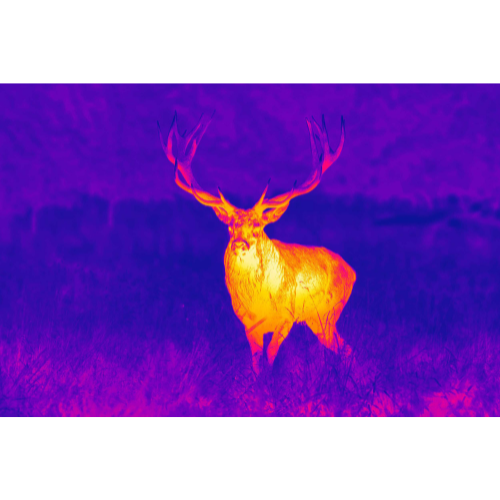 Spectra™_Ti-35_14jpg
